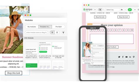 stripo templates.